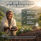 Ethiopian Black Seed Oil - Aceite de Semilla Negra